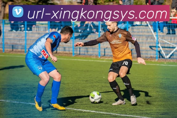 星空体育APP 封面图