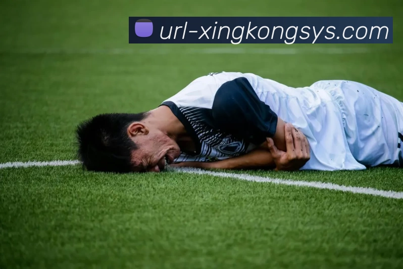 奖项证书